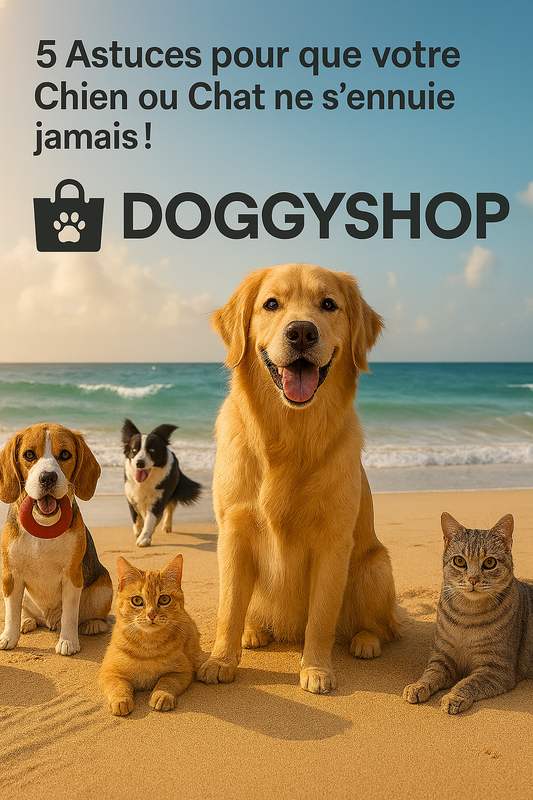 5 Astuces pour que votre Chien ou Chat ne s'ennuie jamais !