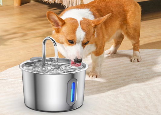 Fontaine à Eau Inox 2,2 L pour Chats & Chiens Silencieuse & Filtrante