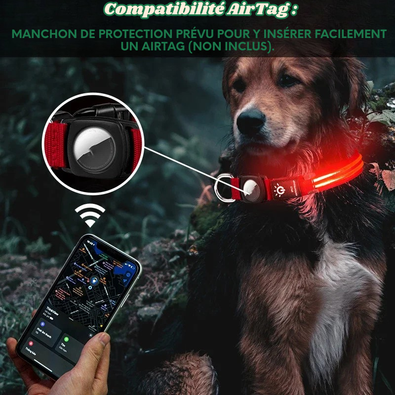Collier Led Étanche + Compatibilité AirTag