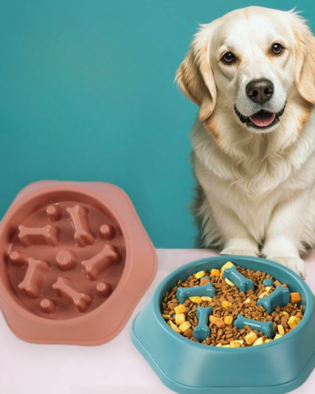Gamelle Anti Glouton pour Chien & Chat