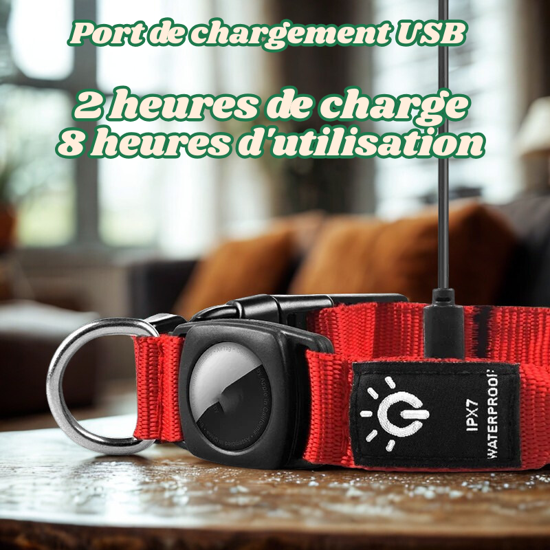 Collier Led Étanche + Compatibilité AirTag