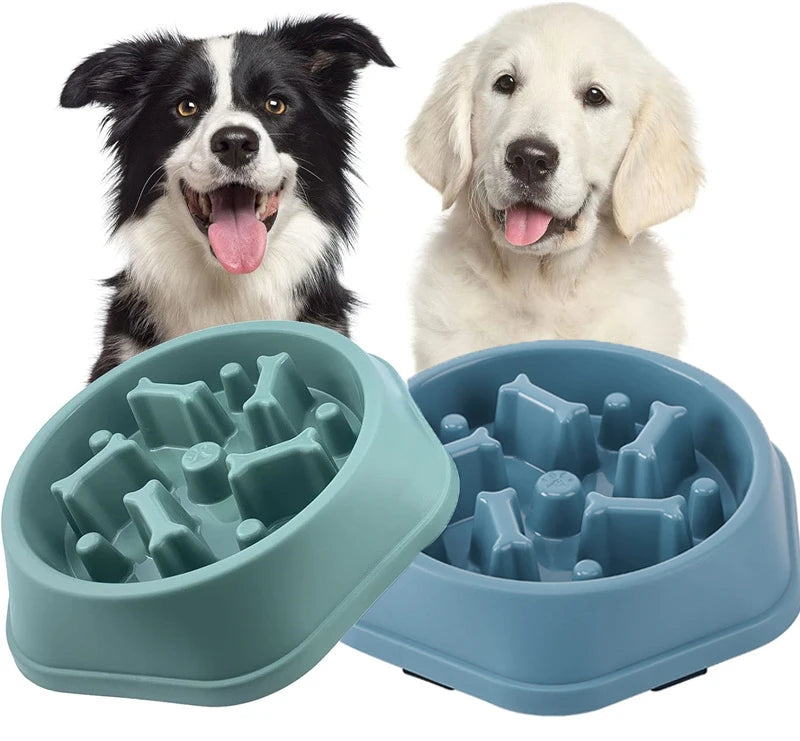 Gamelle Anti Glouton pour Chien & Chat