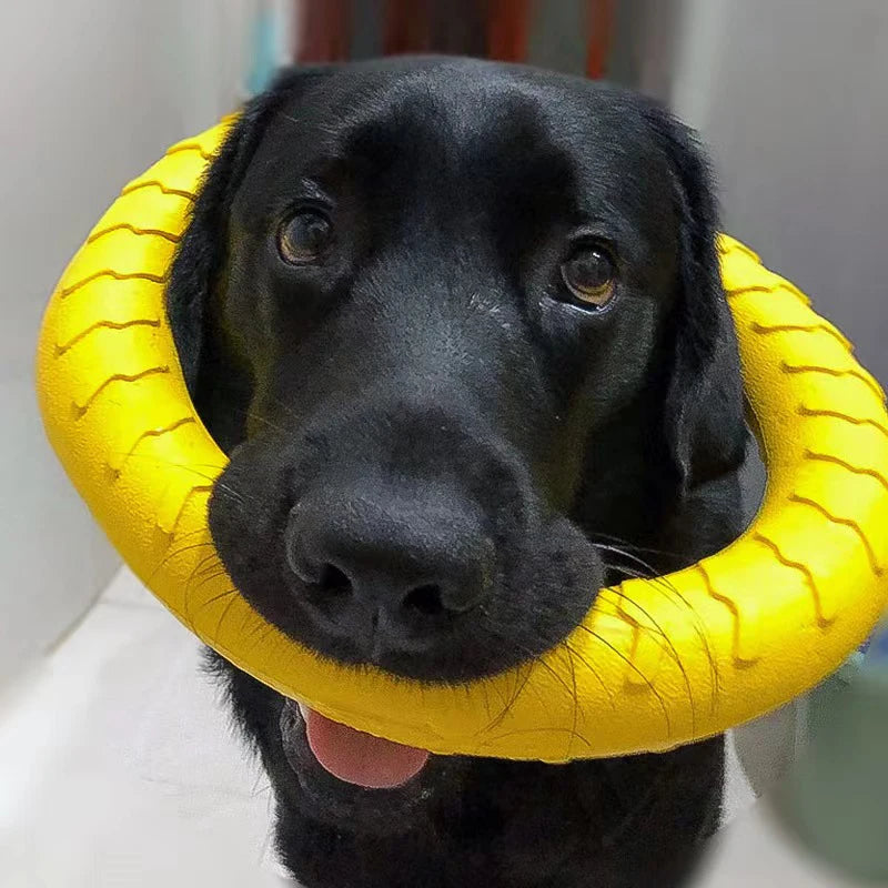 Anneaux Indestructibles Flottants – Jouets à Mâcher et à Rapporter pour Chiens de Toutes Tailles