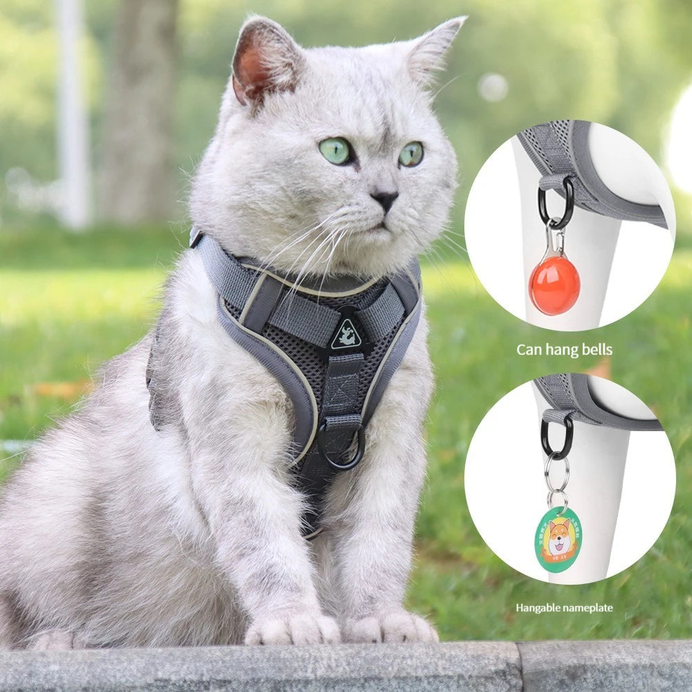 Le Harnais Chic et Solide pour Promenades Maîtrisées pour Chats