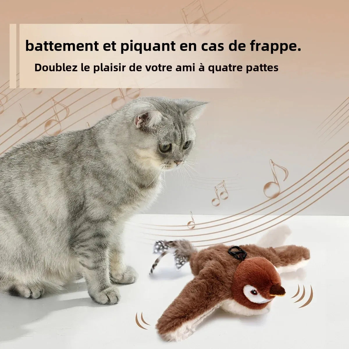 Oiseau en Peluche pour Chat