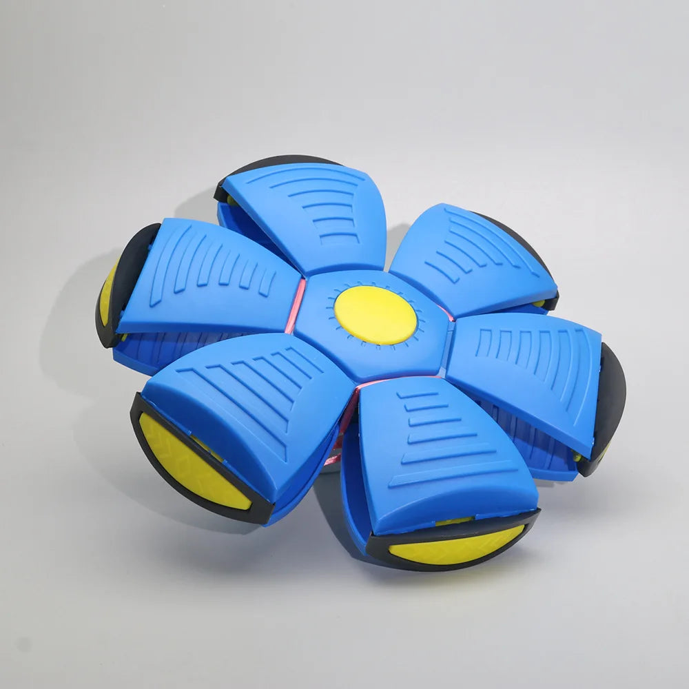 FlyBall Pro – Balle rebondissante & soucoupe