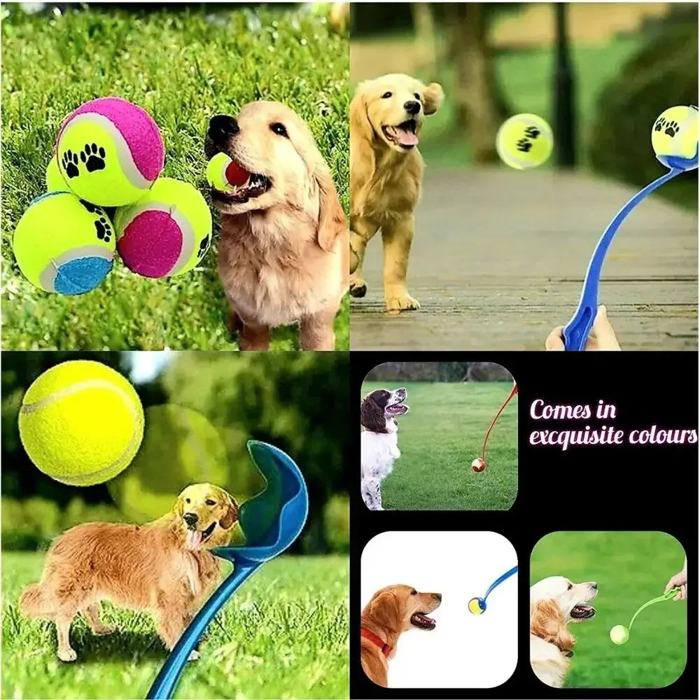 Lanceur de balle ergonomique pour chiens actifs & dressage en plein air
