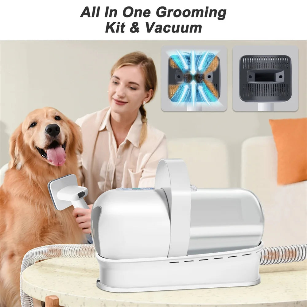 Fini les Poils Partout : Toilettage Pro et Relax
