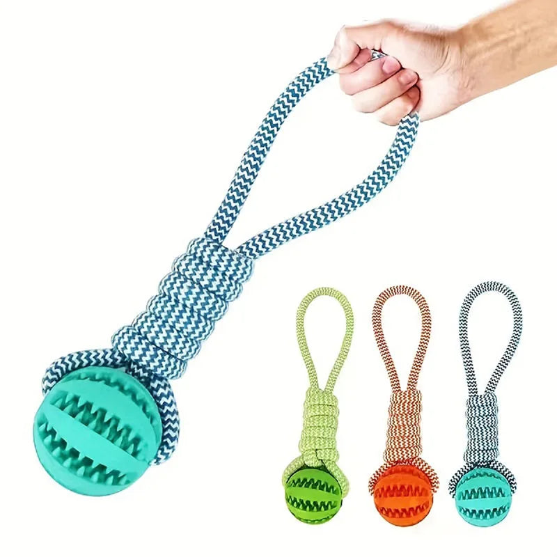 Jouets ultra-résistants et ludiques pour chiens heureux