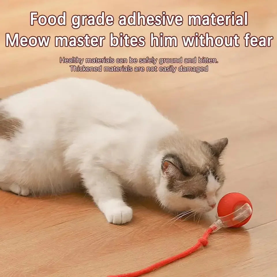 Balle Automatique pour Chat Jouet Interactif