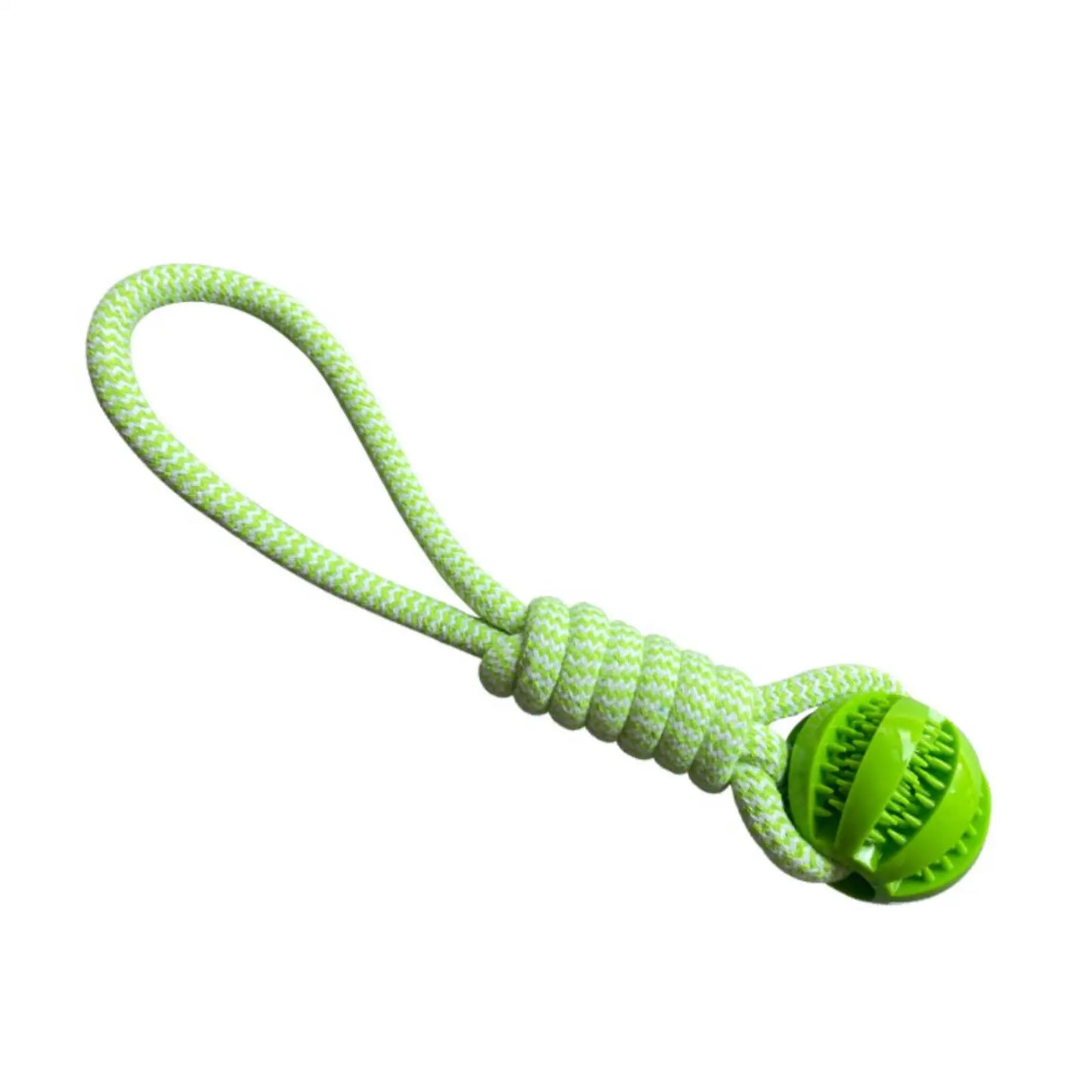 Jouets ultra-résistants et ludiques pour chiens heureux