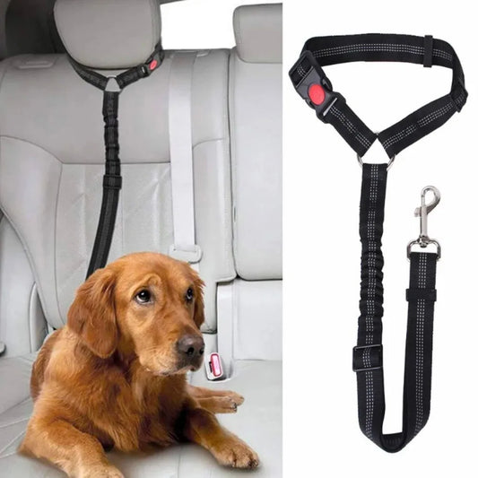 Ceinture de sécurité réglable pour chien