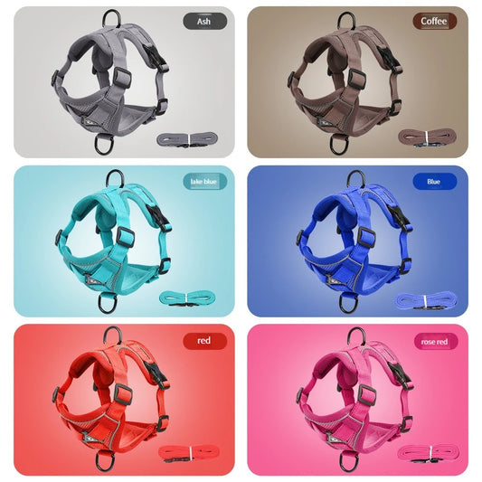 Le Harnais Chic et Solide pour Promenades Maîtrisées pour Chats