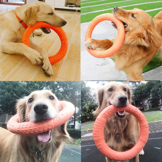 Anneaux Indestructibles Flottants – Jouets à Mâcher et à Rapporter pour Chiens de Toutes Tailles