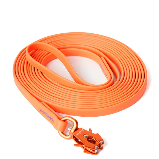 Longe de Dressage – Liberté et Contrôle pour votre Chien 3 Couleurs