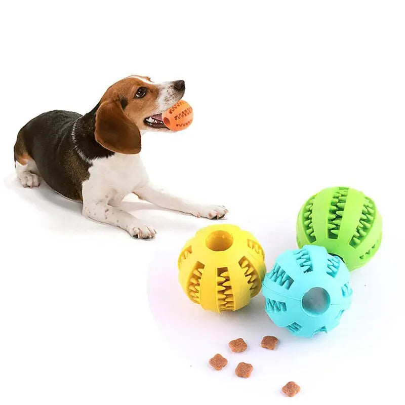 Balle Jouet 3 en 1 : Friandises, Hygiène Dentaire et Fun pour Chiens & Chiots