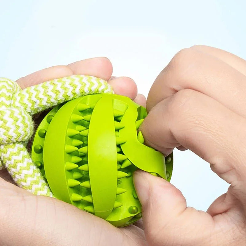 Jouets ultra-résistants et ludiques pour chiens heureux