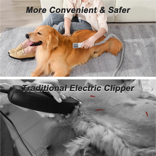 Fini les Poils Partout : Toilettage Pro et Relax