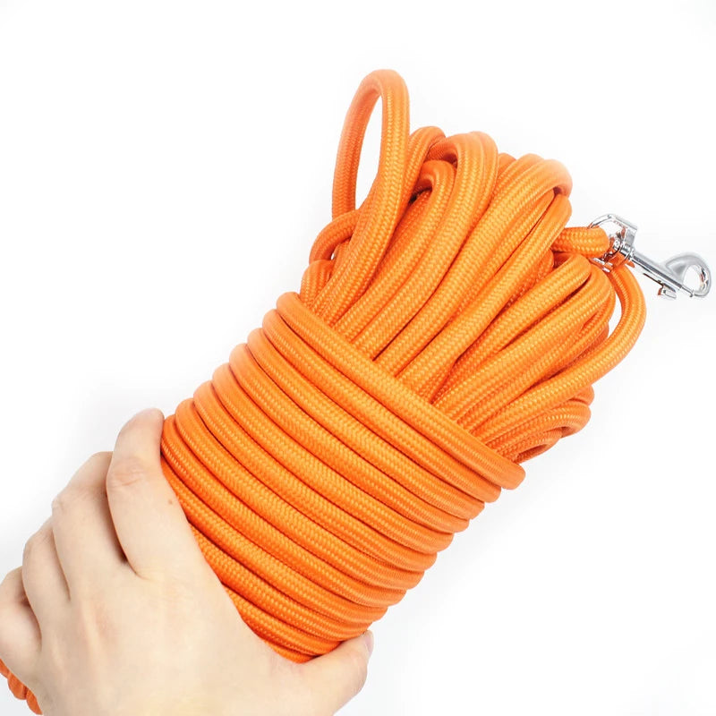 Laisse Longue en Nylon Renforcé – la Liberté en Sécurité