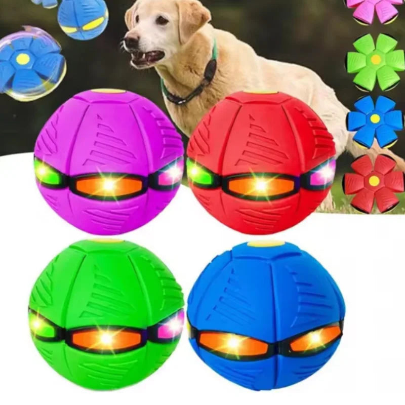 FlyBall Pro – Balle rebondissante & soucoupe