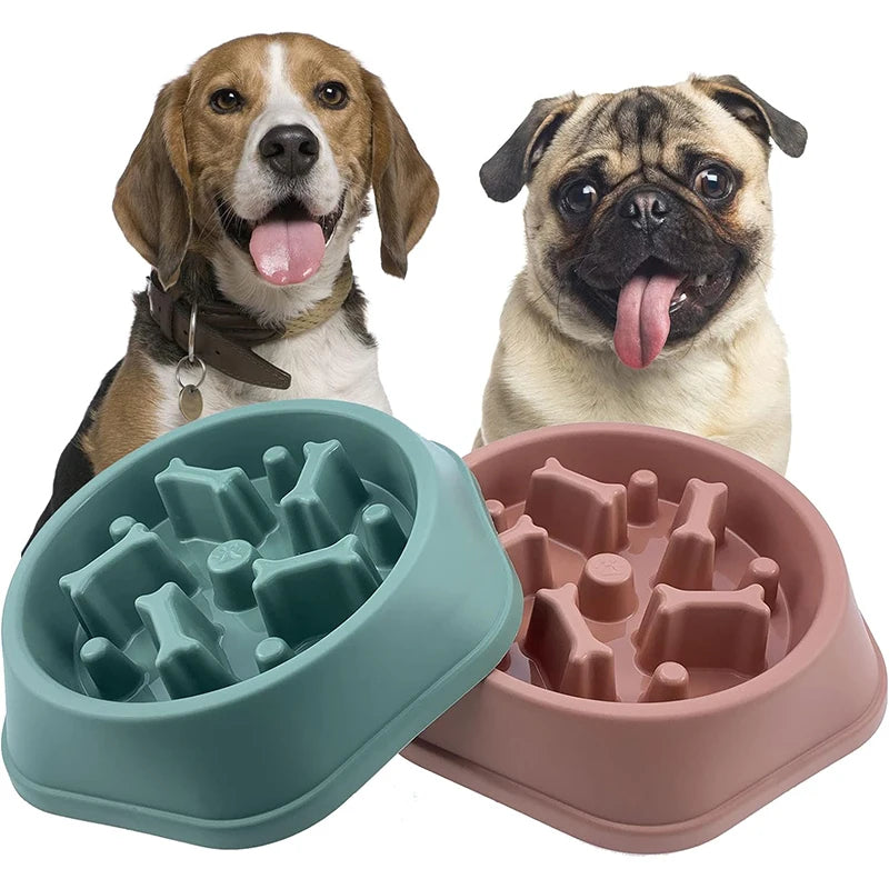 Gamelle Anti Glouton pour Chien & Chat