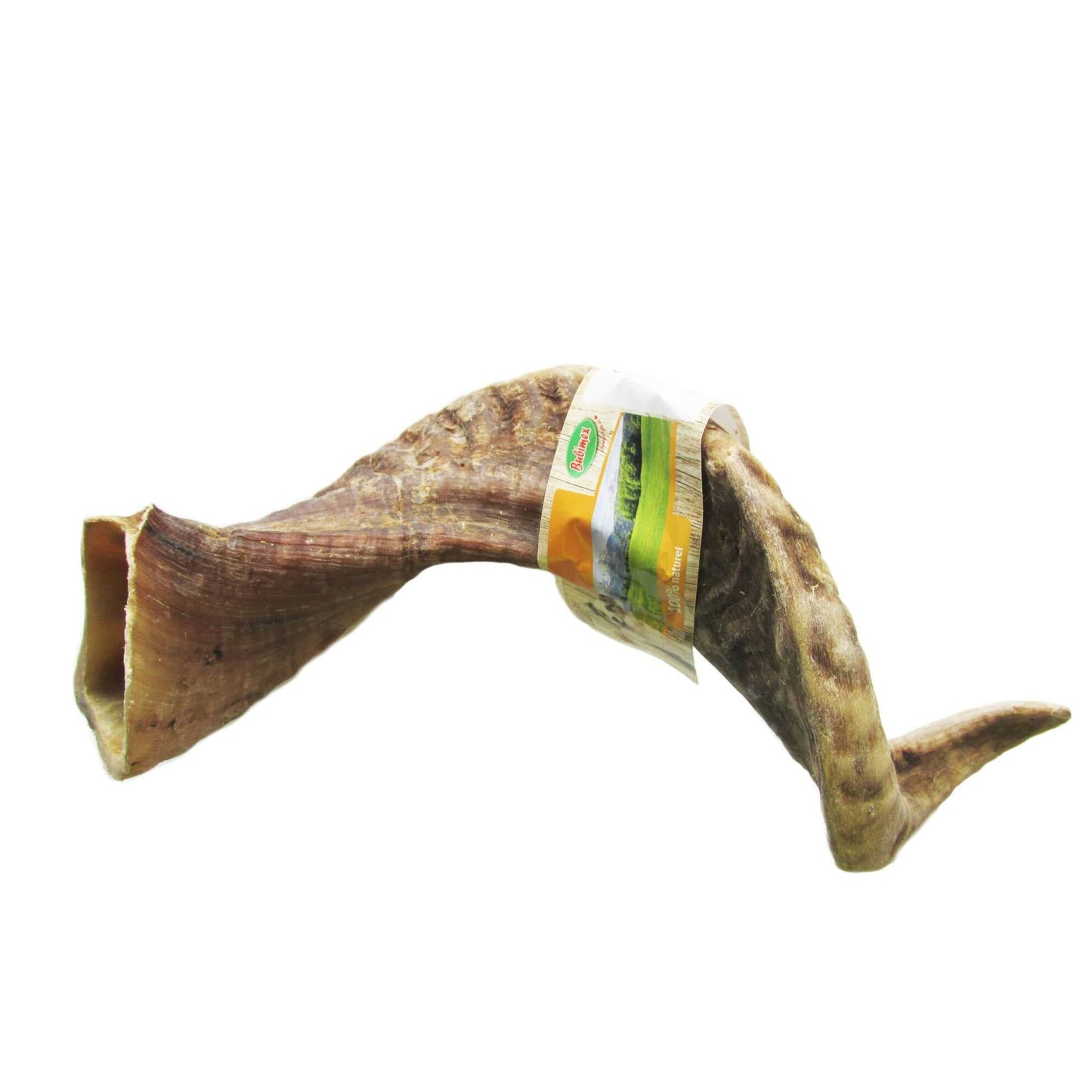Corne de mouton 100-200g