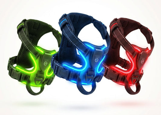 Harnais LED Chien : La solution ultime pour des balades nocturnes en toute sécurité (Guide & Avis)