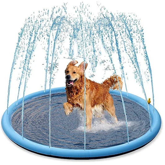 Chien jouant dans une piscine rafraîchissante bleue en été