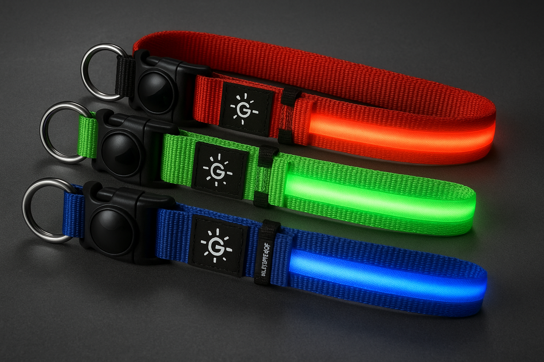 Collier Lumineux LED Rechargeable pour Chien – Sécurité & Visibilité Nocturne
