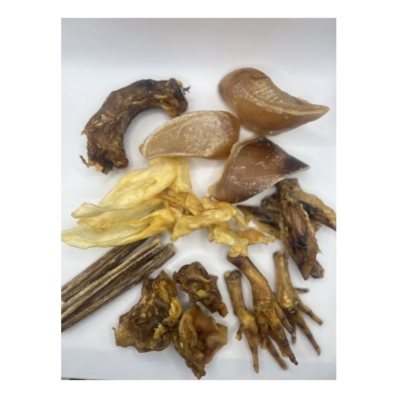 Pack Mastication Chien