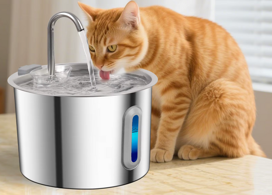 Fontaine à Eau Inox 2,2 L pour Chats & Chiens Silencieuse & Filtrante