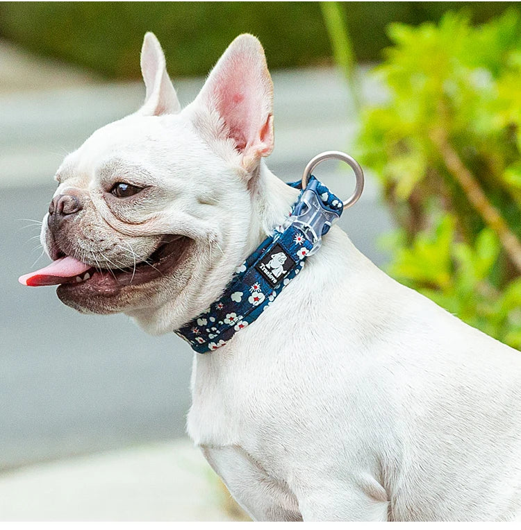 Collier Truelove pour chien – Floral & Camouflage