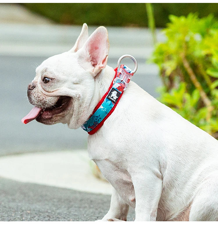 Collier Truelove pour chien – Floral & Camouflage
