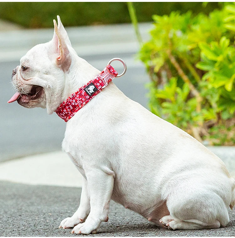 Collier Truelove pour chien – Floral & Camouflage