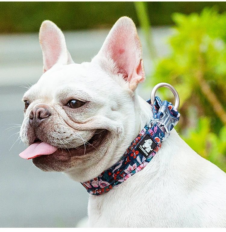 Collier Truelove pour chien – Floral & Camouflage