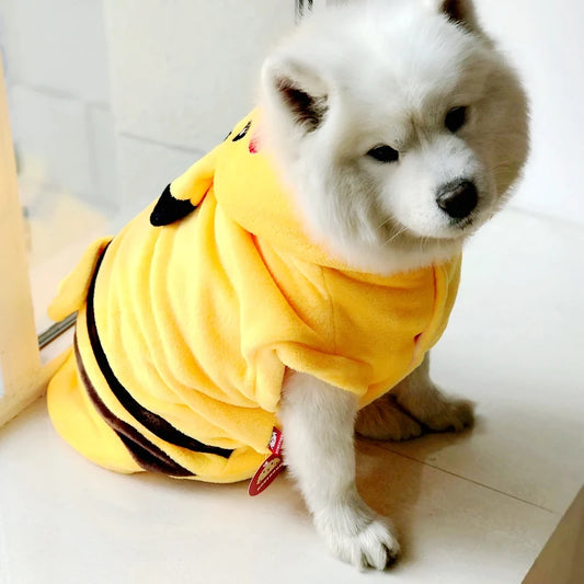 Mignon & Douillet, Tailles XS–XXL (Jusqu’au Labrador)