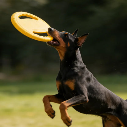 Disque Volant EVA Ultra Résistant pour Chien