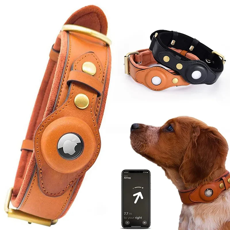 Collier cuir Anti-Perte pour Chien - Sécurité Plein Air & Balades