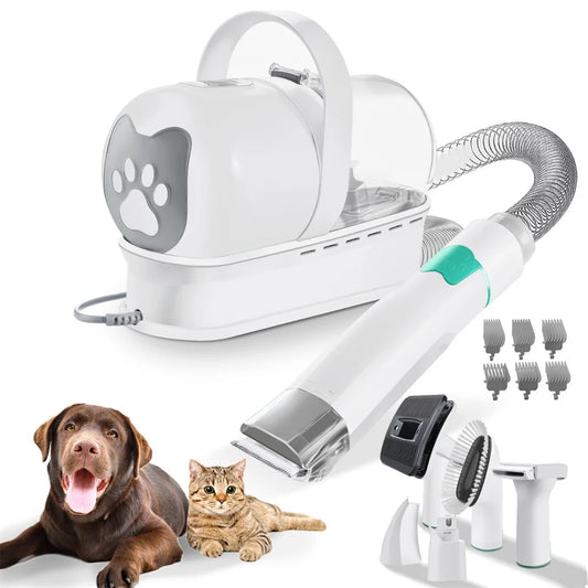 Fini les Poils Partout : Toilettage Pro et Relax