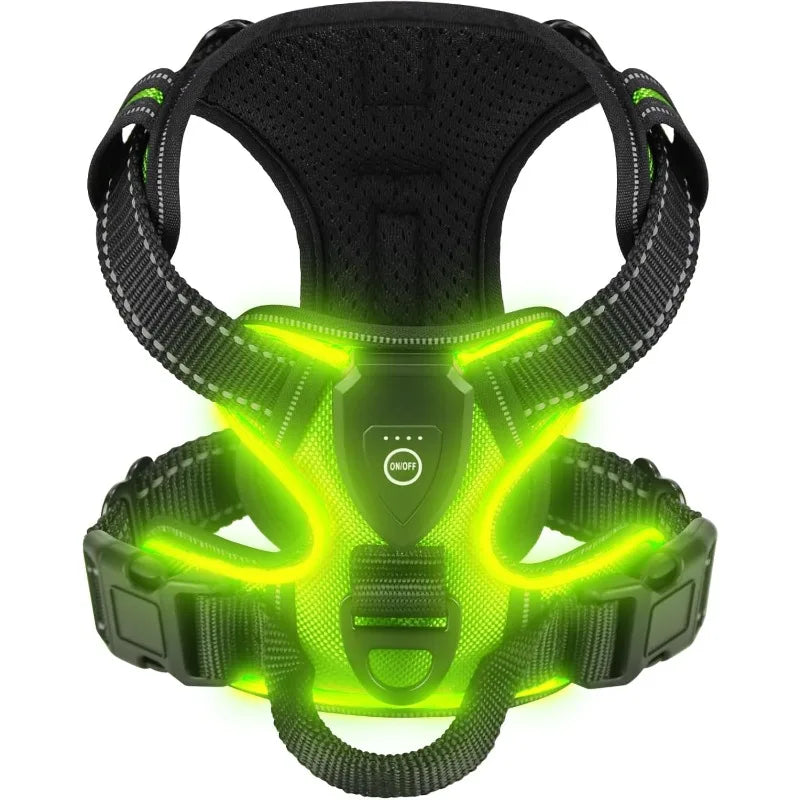 Harnais pour Chien Led