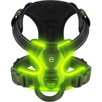 Harnais pour Chien Led