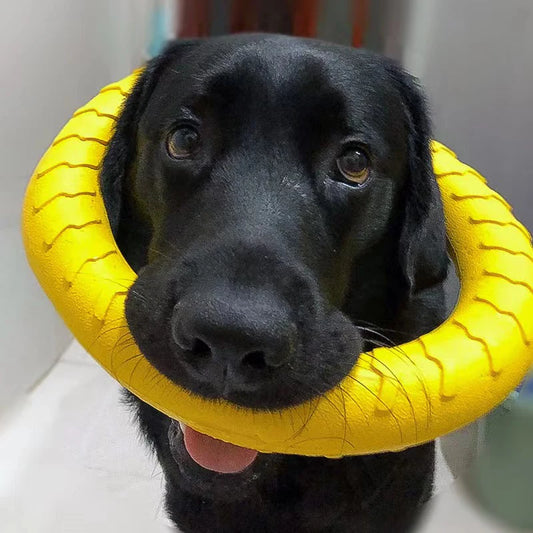 Anneaux Indestructibles Flottants – Jouets à Mâcher et à Rapporter pour Chiens de Toutes Tailles