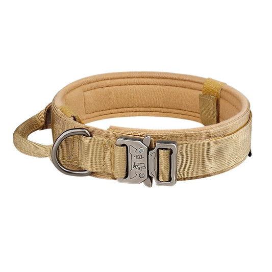 Collier Tactique Militaire pour Chien – Boucle Métal & Nylon Renforcé