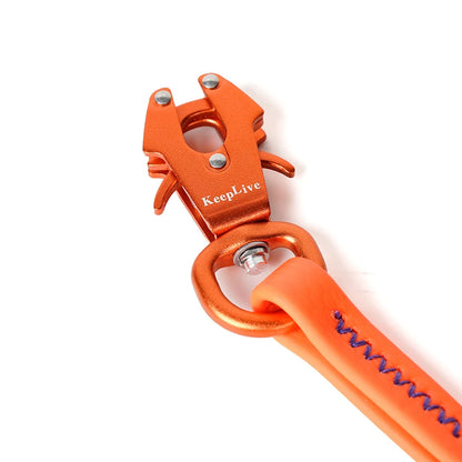 Longe de Dressage – Liberté et Contrôle pour votre Chien 3 Couleurs