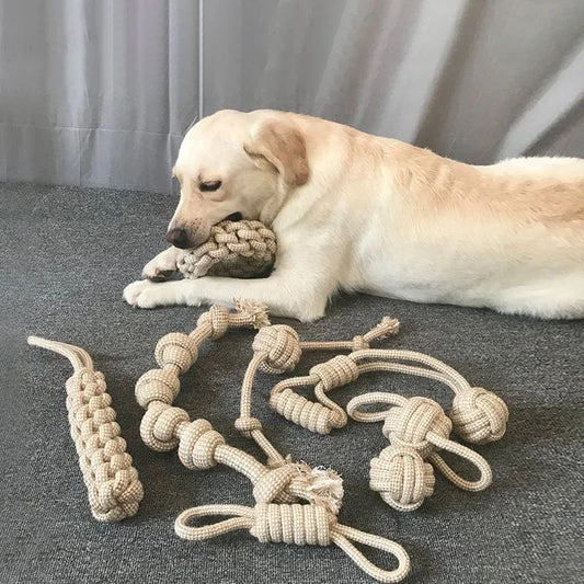 Jouet à Nœud Résistant pour Chien et Chat – Divertit et Stimule Votre Animal !