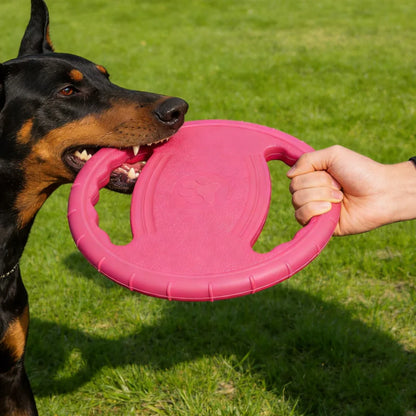 Disque Volant EVA Ultra Résistant pour Chien