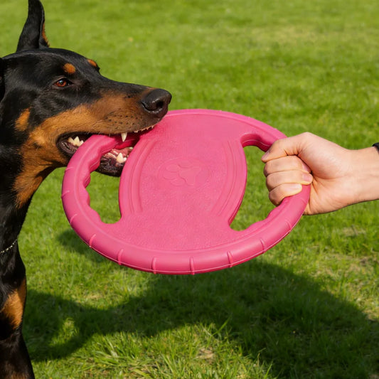 Disque Volant EVA Ultra Résistant pour Chien