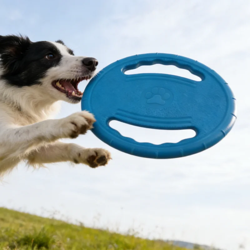 Disque Volant EVA Ultra Résistant pour Chien