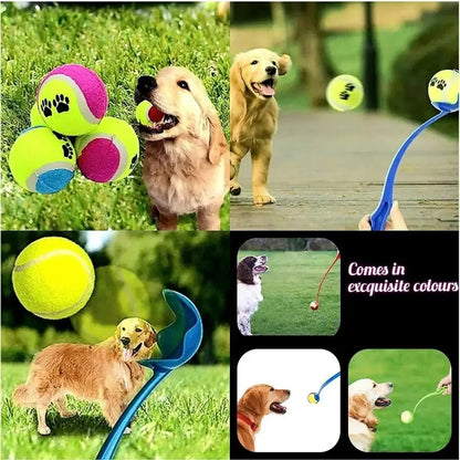 Lanceur de balle ergonomique pour chiens actifs & dressage en plein air
