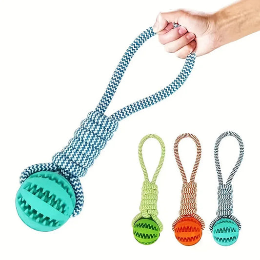 Jouets ultra-résistants et ludiques pour chiens heureux